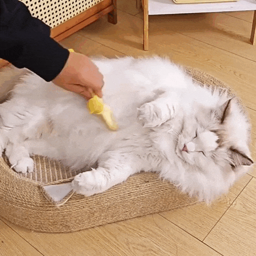 VeluBrush™ - Removes Fur & Relieves Pain